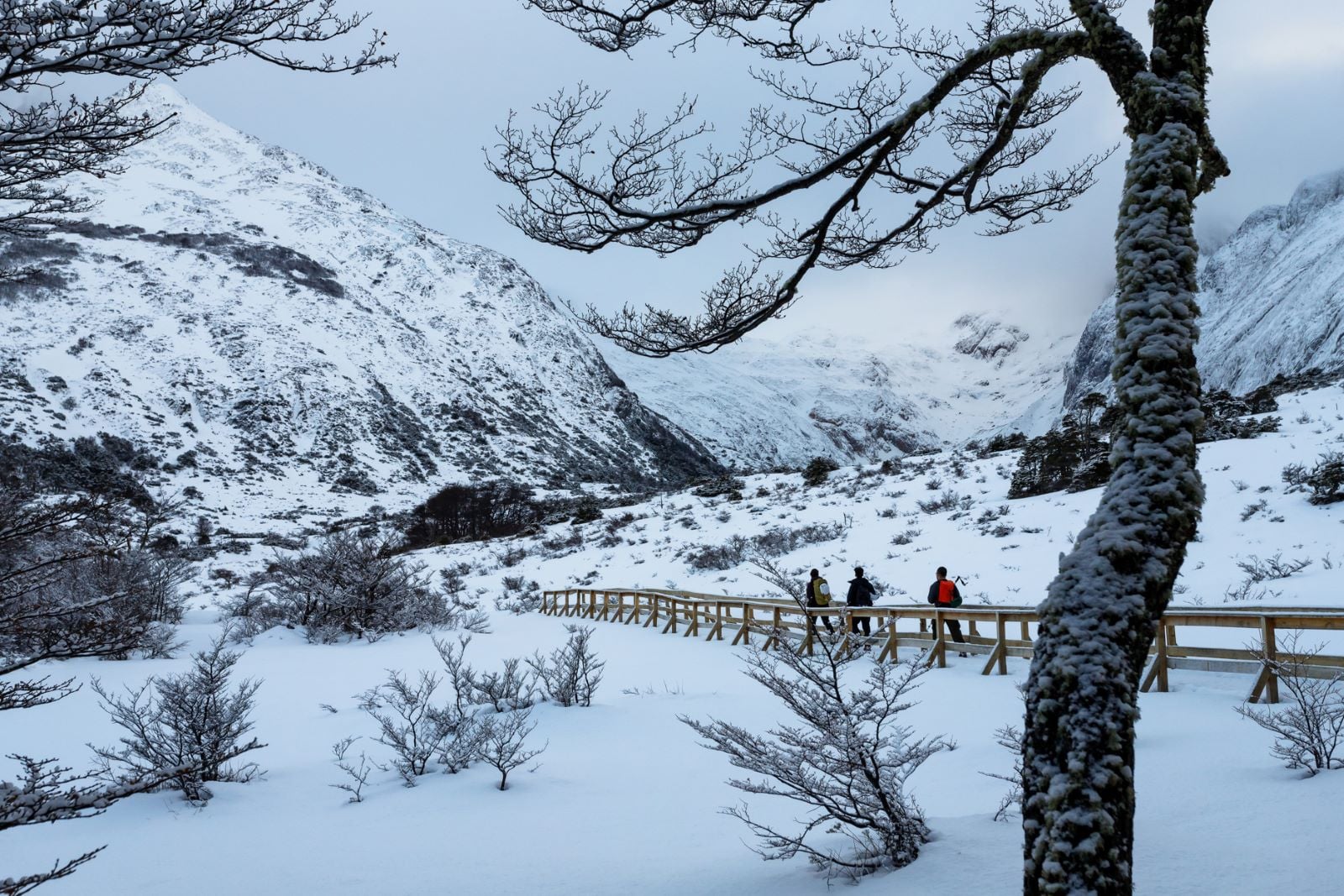 Trekking Glaciar Ojo del Albino - Imagen 2