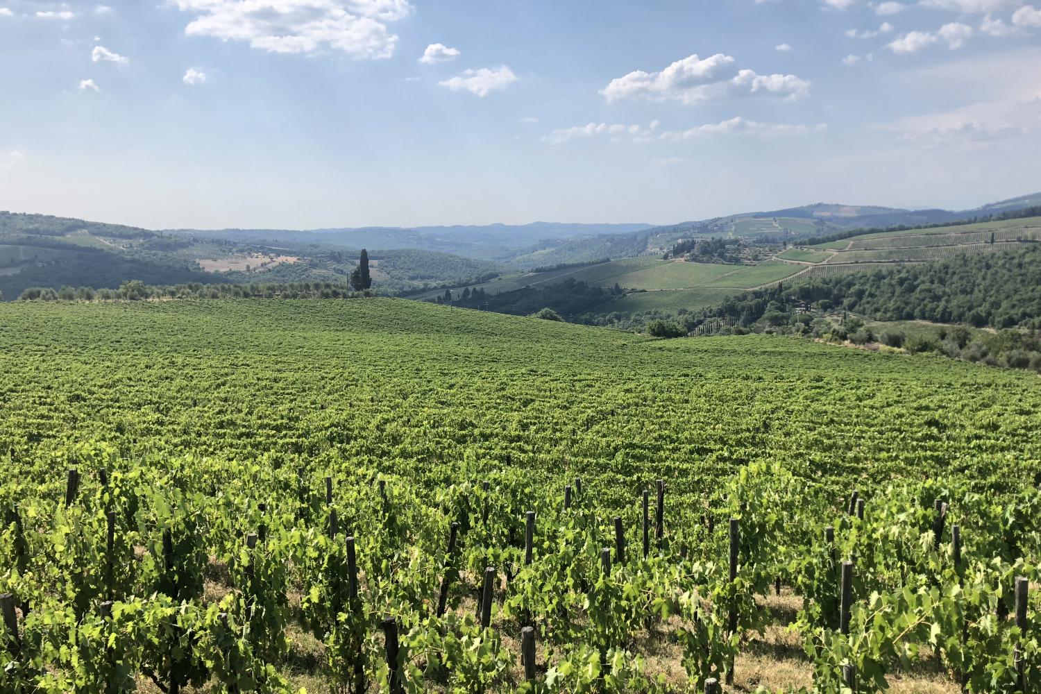 Exploring Chianti by Electric Vespa - Imagen 2