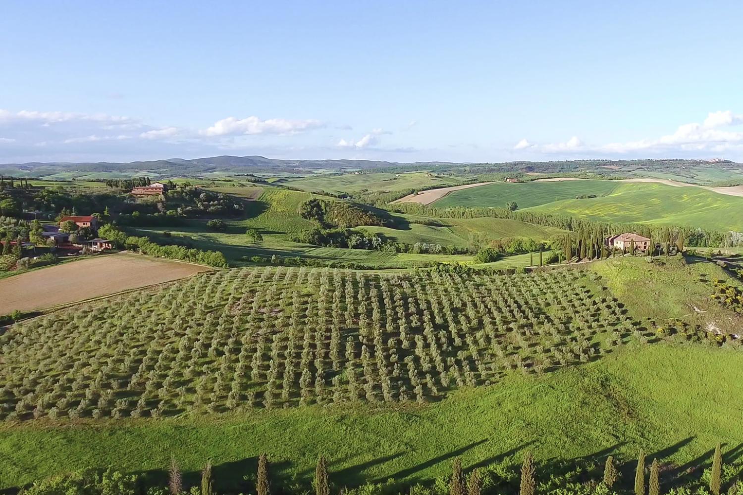 Pasta, Legends and Wines in Chianti Classico - Imagen 4