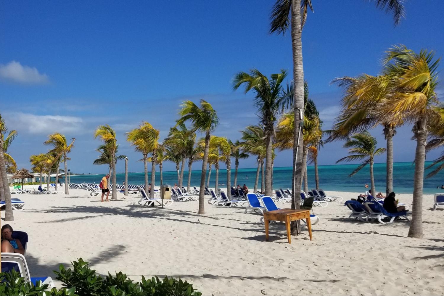 Ferry to Freeport, Grand Bahama: Economy - Imagen 3