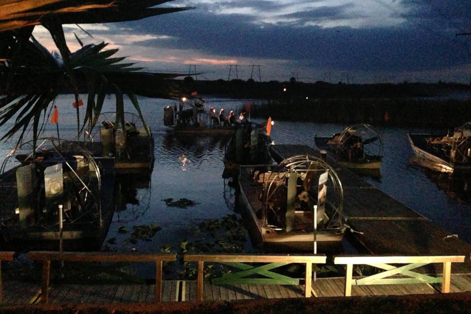 Everglades nocturno: Parque Sawgrass - Imagen 3