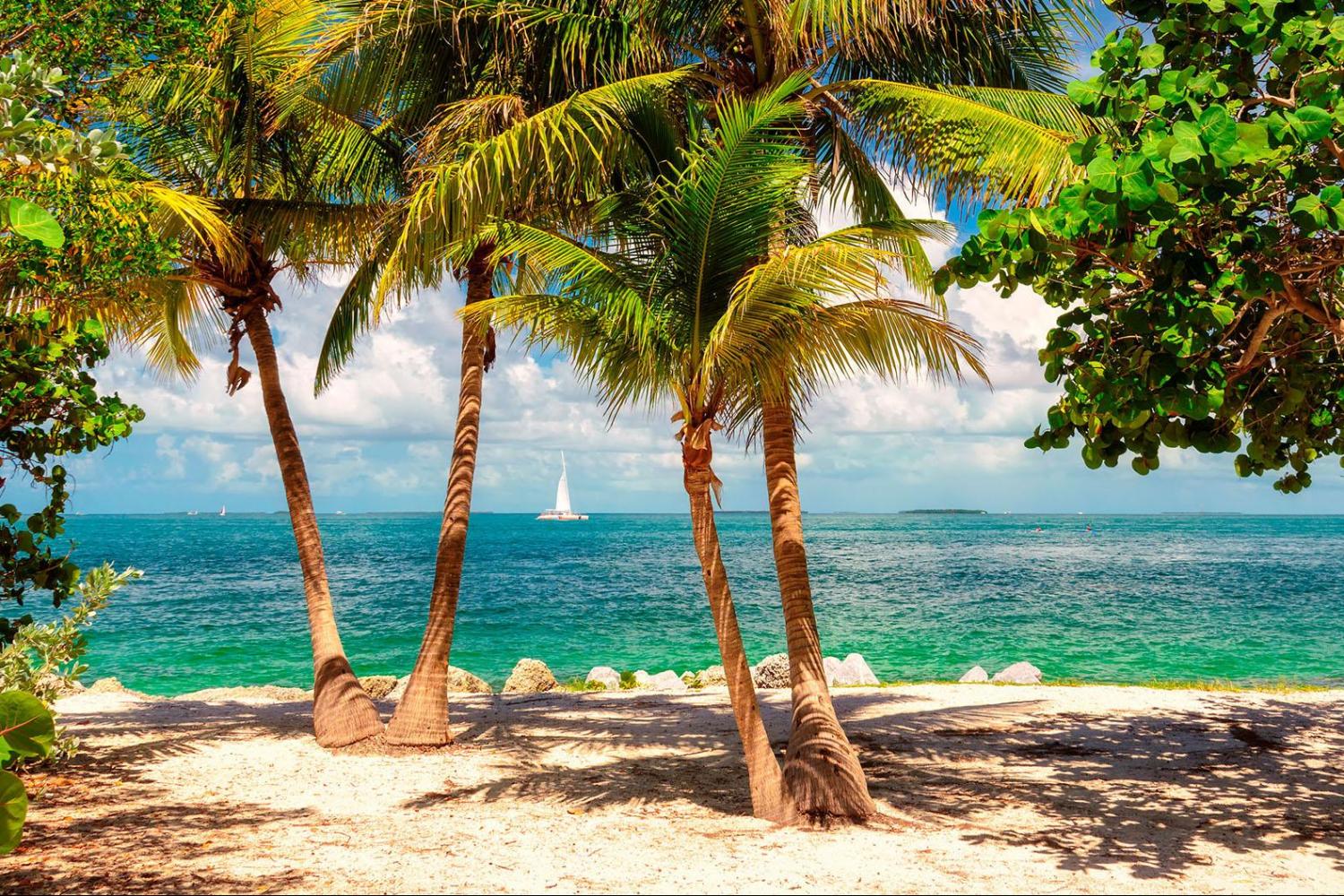 Snorkel en Key West - Imagen 2