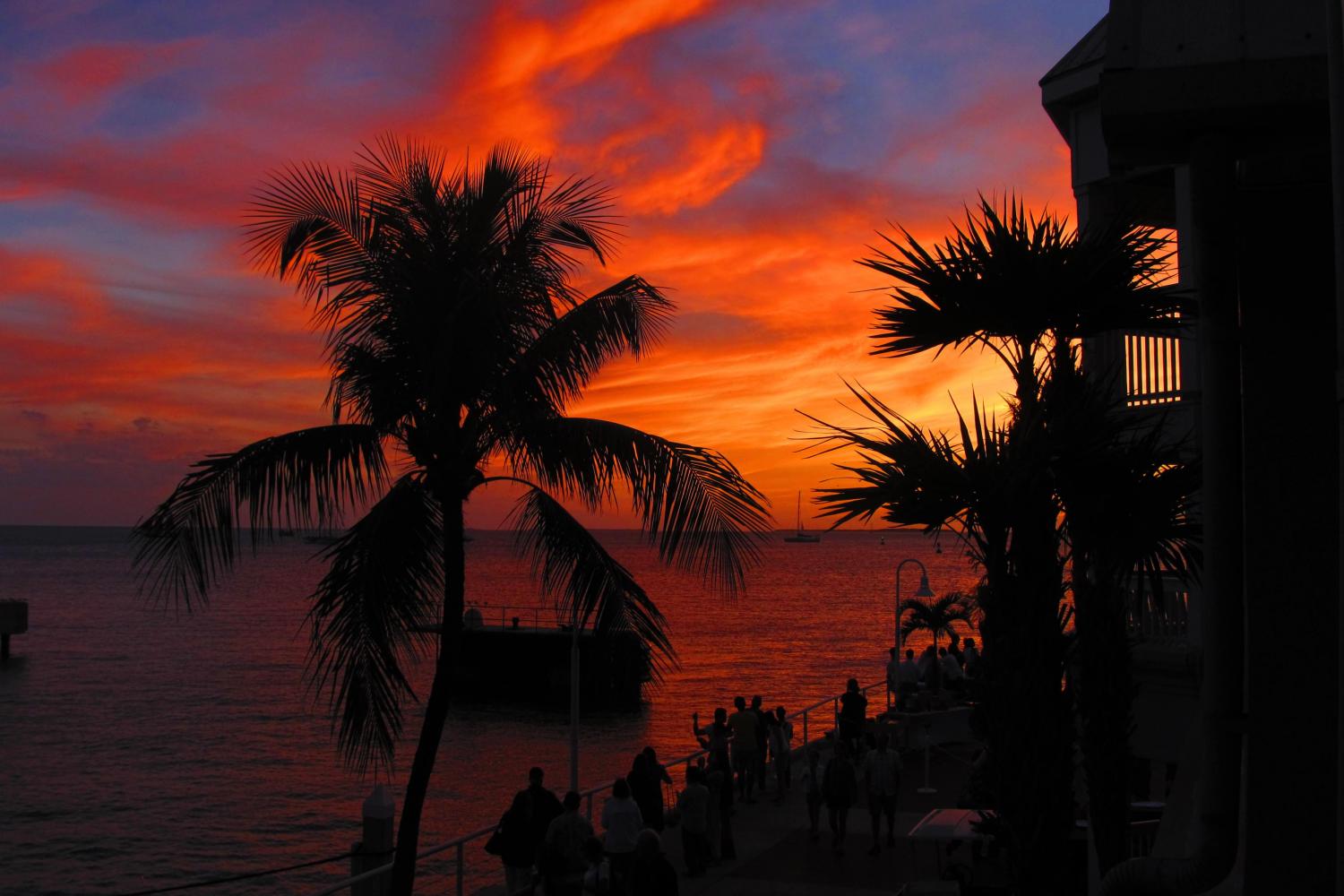 Snorkel en Key West - Imagen 3