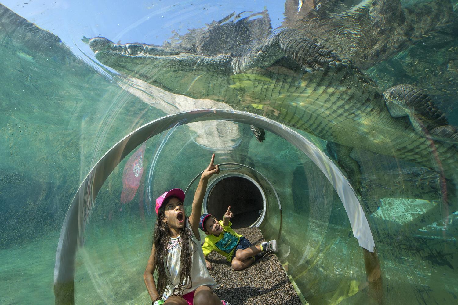 Zoológico de Miami com transporte - Imagen 2