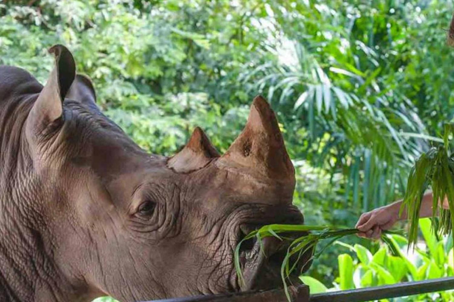 Zoológico de Miami com transporte - Imagen 3