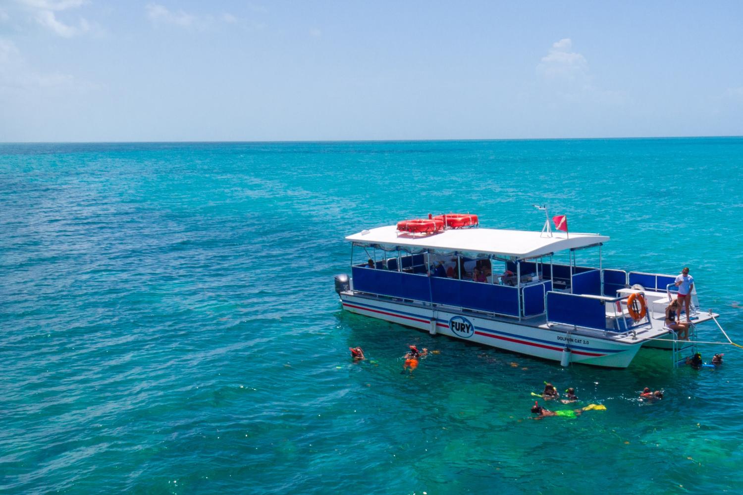Delfines y esnórquel en Key West - Imagen 2