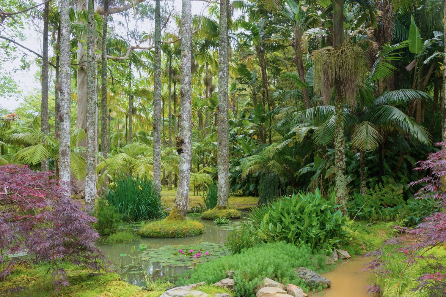 Furnas - La Ruta de los Volcanes - Imagen 3