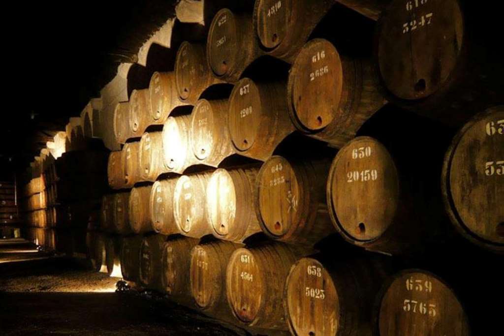 Tour del Vino en el Valle del Douro - Imagen 2