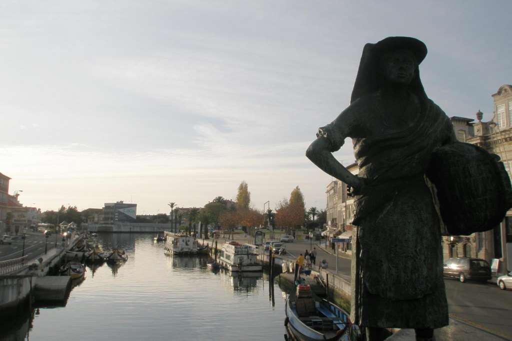 Aveiro and Costa Nova Tour - Imagen 4