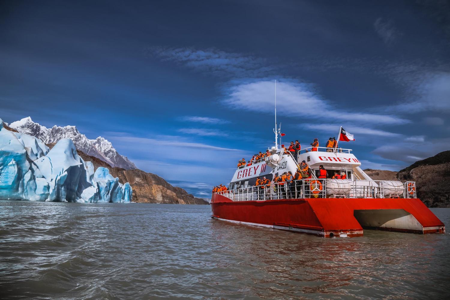 Navegación al Glaciar Grey - Imagen 4