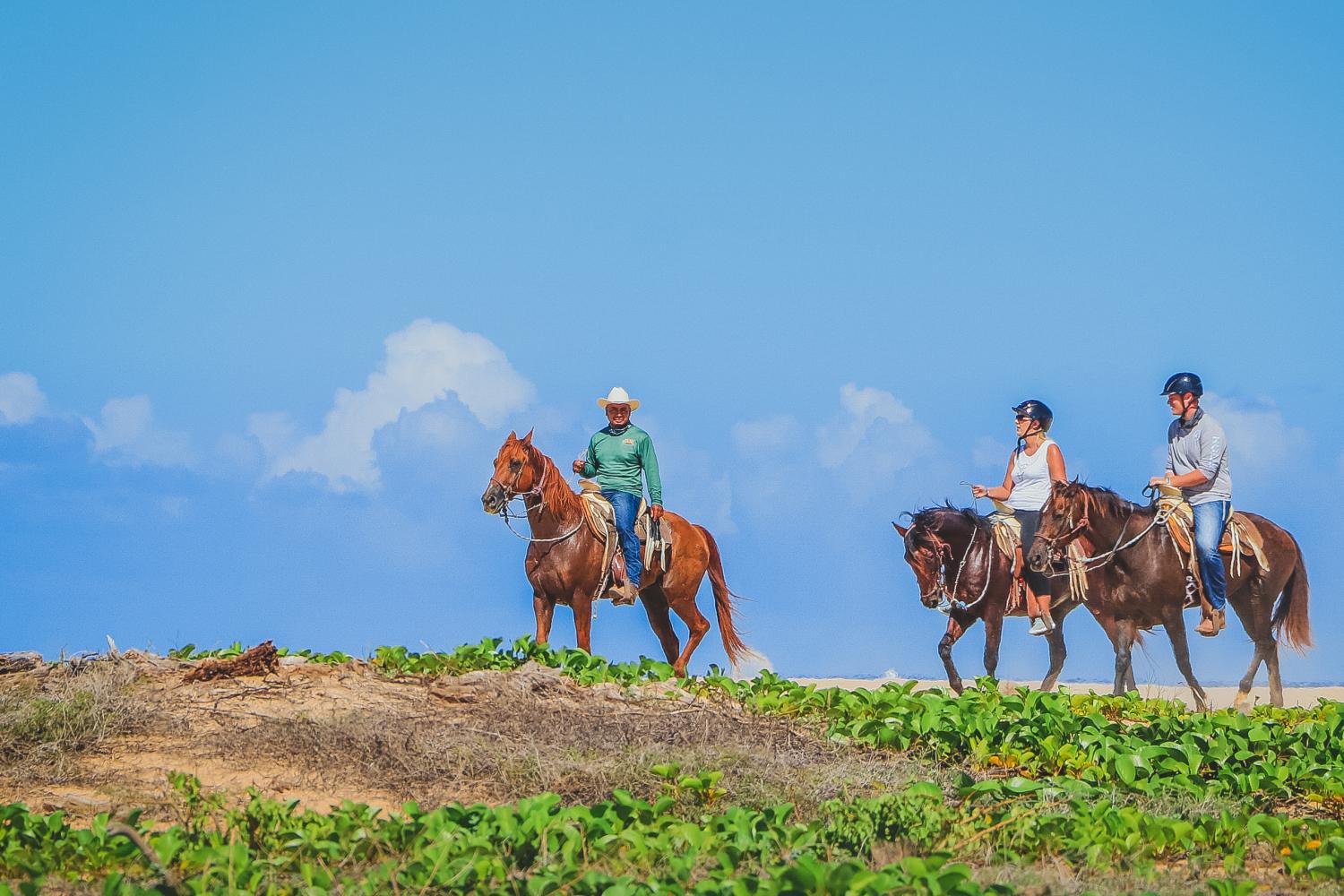 Passeio a cavalo em Los Cabos - Imagen 4