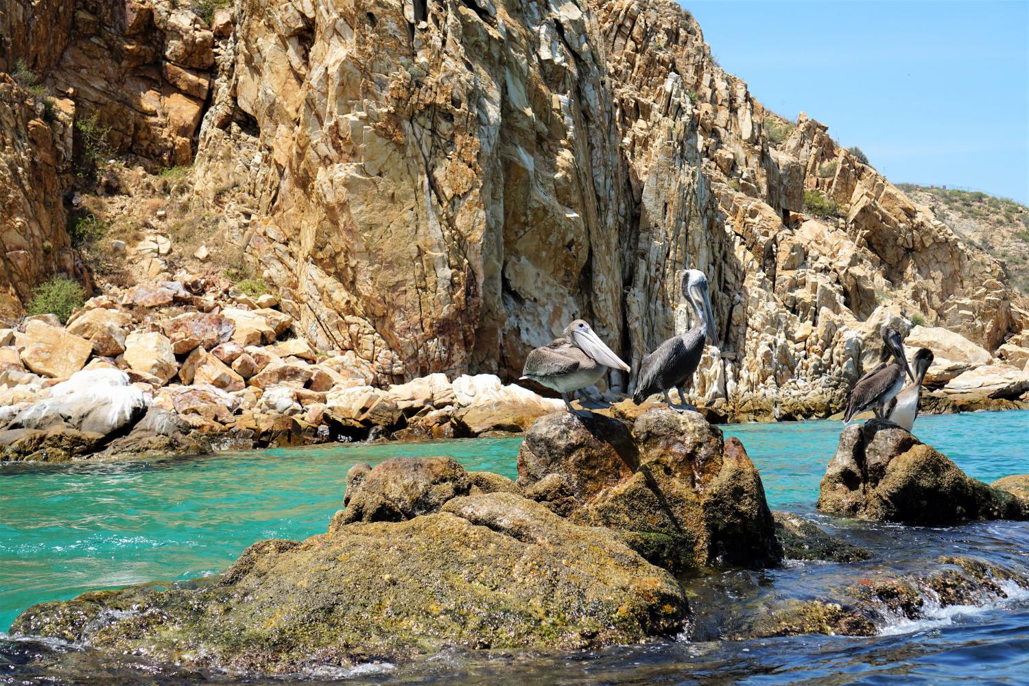 Experiencia en el fin del mundo de Cabo - Imagen 2
