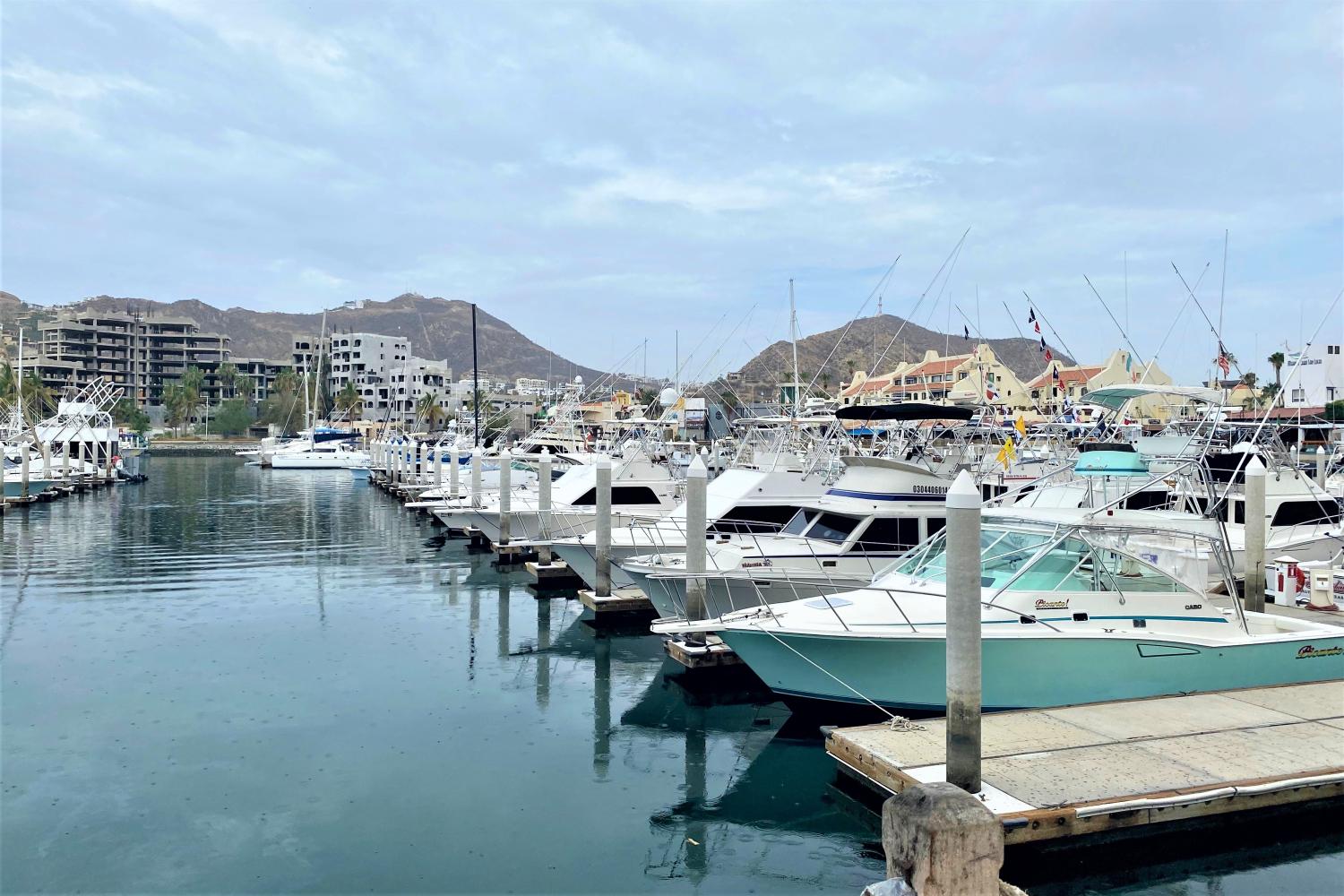 Experiencia en el fin del mundo de Cabo - Imagen 3
