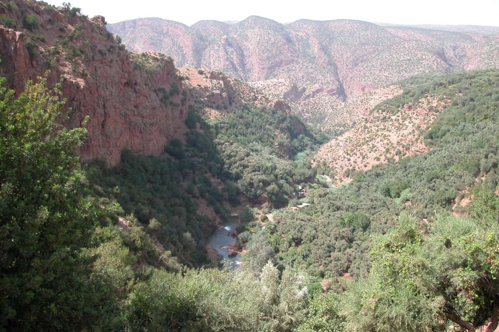 Magic Ouzoud Falls - Imagen 2