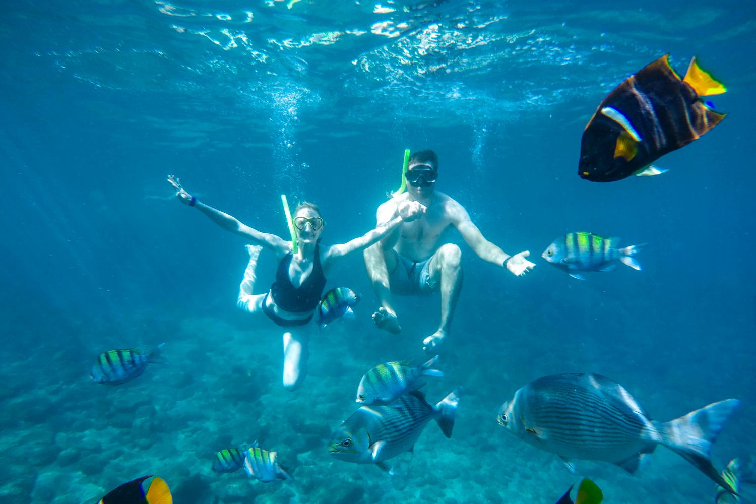 Buceo de lujo en la Bahía de Banderas - Imagen 3