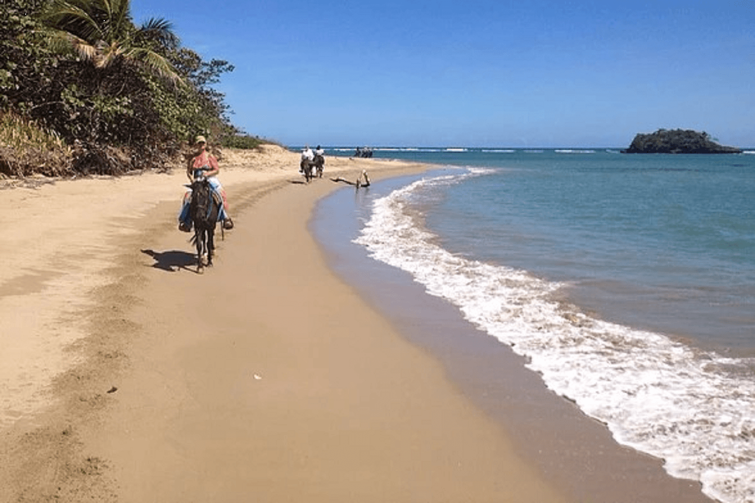 Horseback Riding of Punta Cana  1 hours - Imagen 2