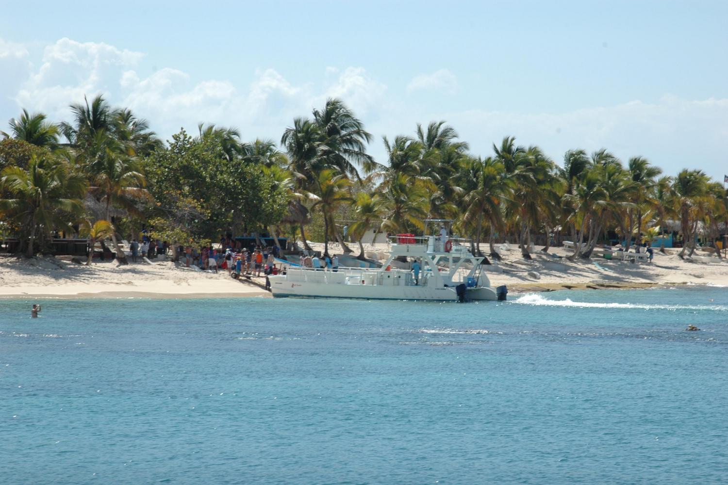 Catalina Snorkeling from Punta Cana - Imagen 2