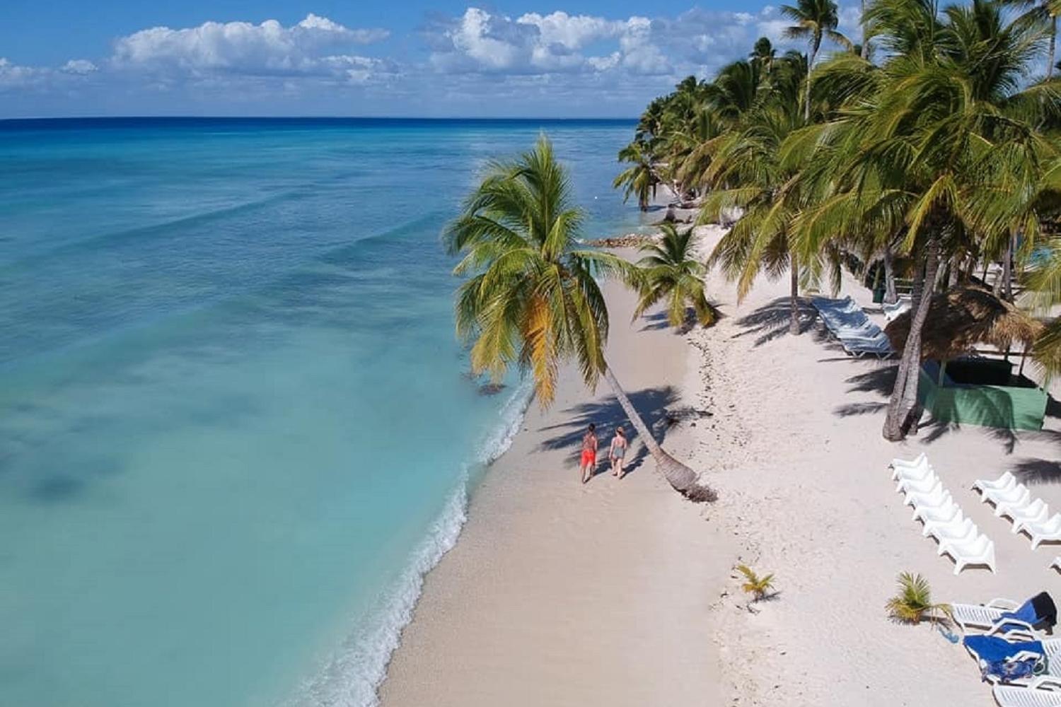 Catalina Snorkeling from Punta Cana - Imagen 3
