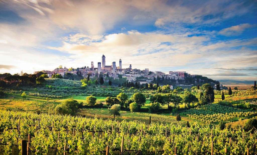 Siena, San Gimignano y Chianti con almuerzo - Imagen 3