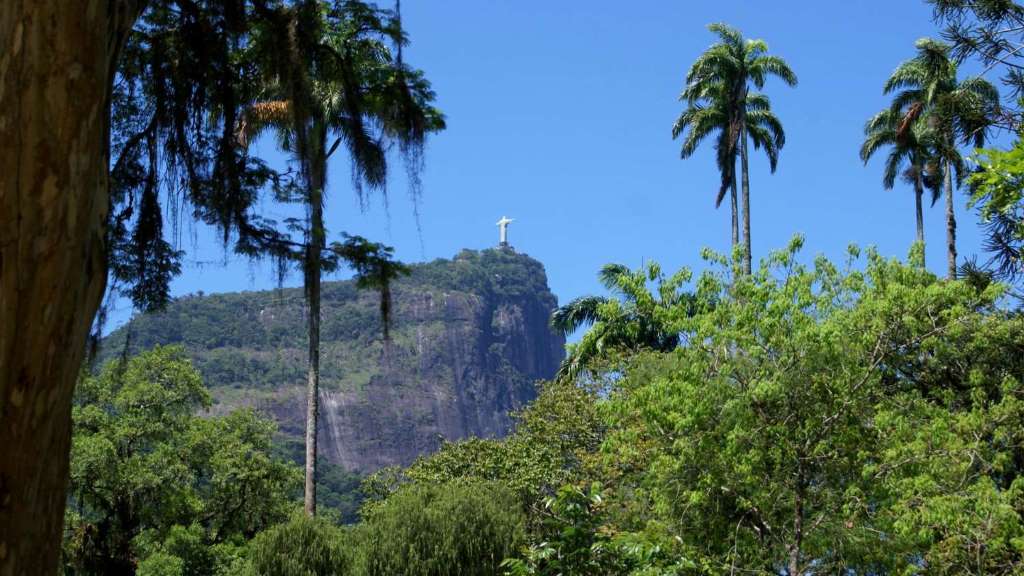 Visita guiada ao Jardim Botânico - Imagen 3