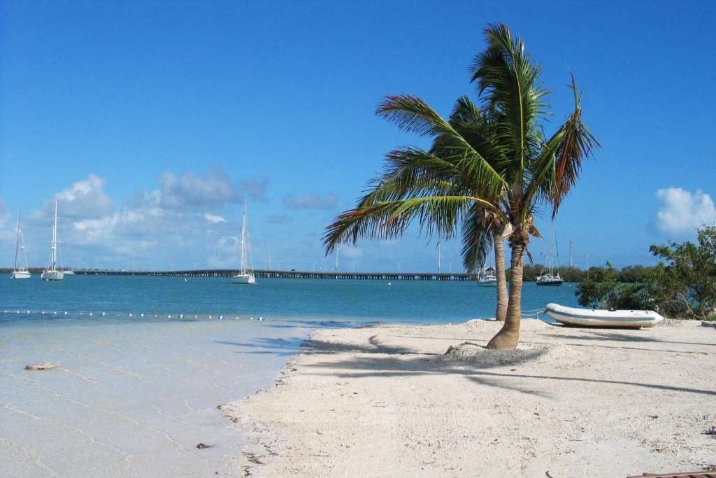 Un día en Key West con Parasailing - Imagen 3