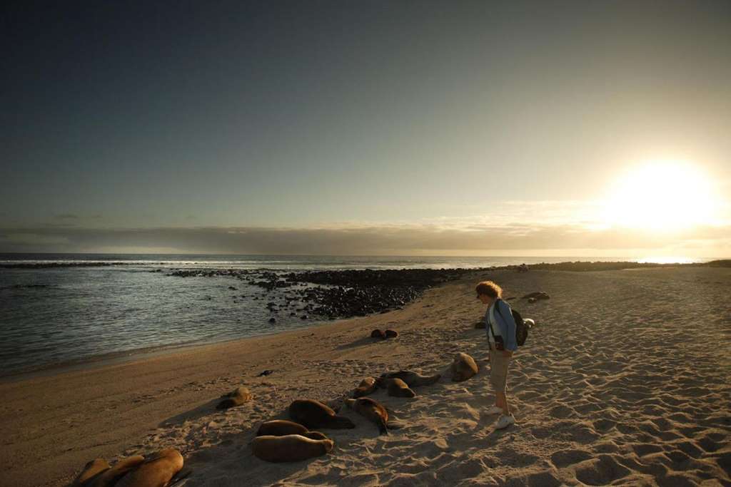 Tour to Tortuga Bay Beach - Imagen 4