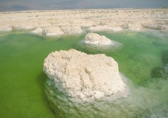 Masada y Mar Muerto - Tour de 1 día - Imagen 2