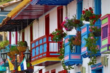Finca de café, Filandia, Cocora y Salento - Imagen 4