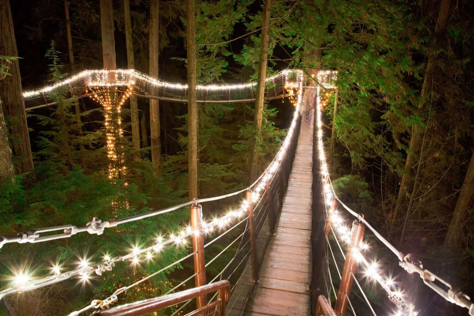 Luces festivas por Vancouver y Capilano - Imagen 2