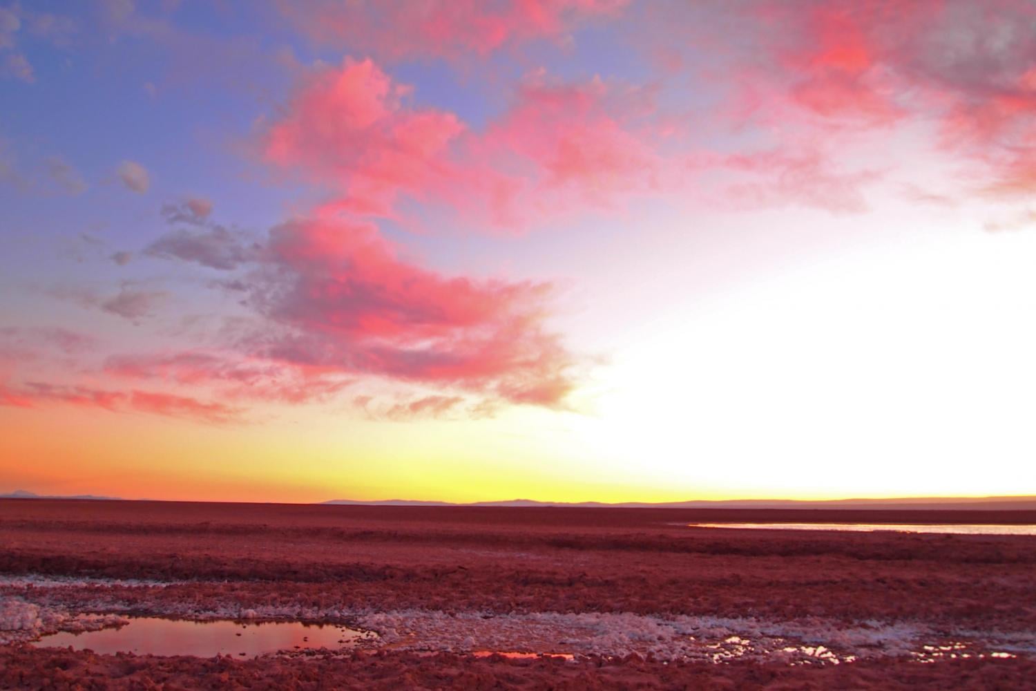 Lagunas Cejar, Tebinquiche y Ojos del Salar - Imagen 2