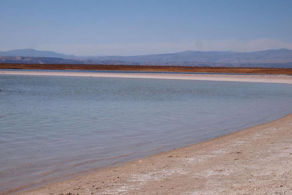 Lagunas Cejar, Tebinquiche y Ojos del Salar - Imagen 4