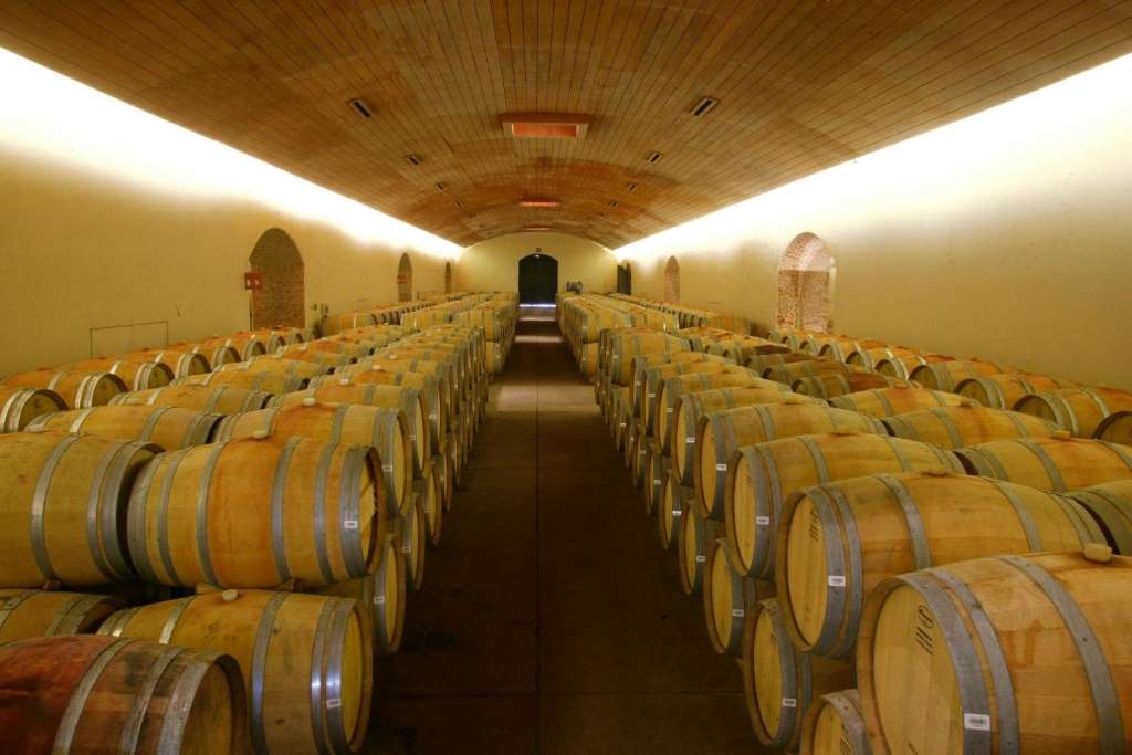 Concha y Toro Winery - Imagen 4