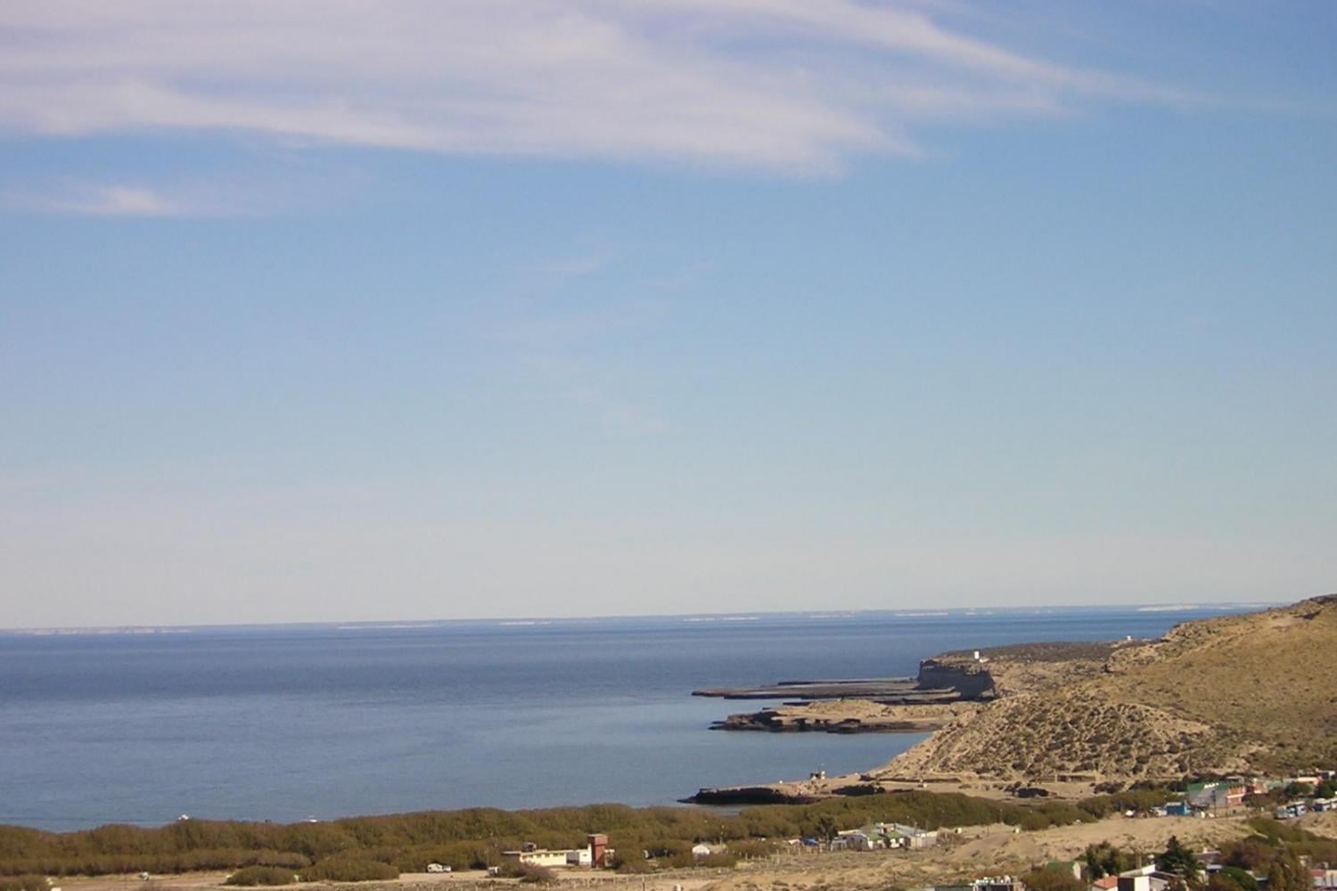 Punta Tombo: excursión de día completo - Imagen 3