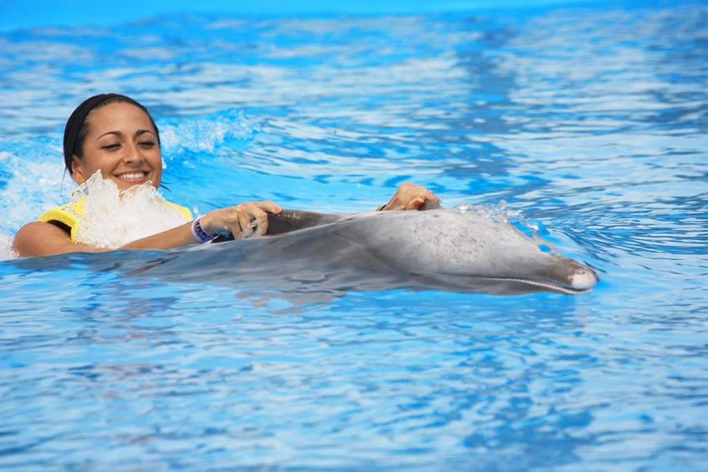 Nado con delfines: Dolphin Royal Swim - Imagen 3