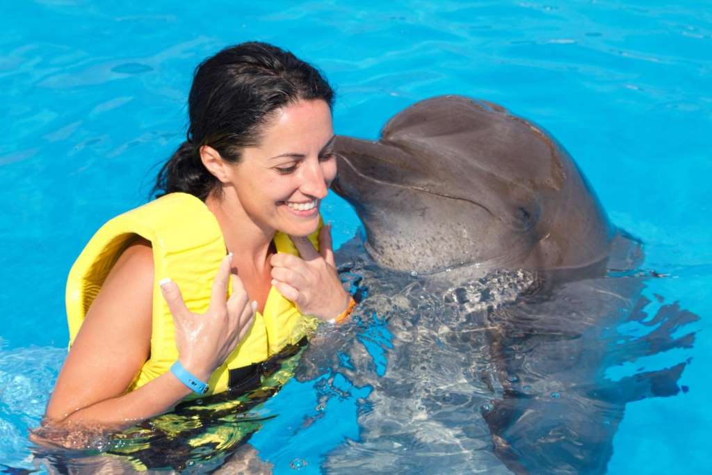 Nado con delfines: Dolphin Royal Swim - Imagen 4