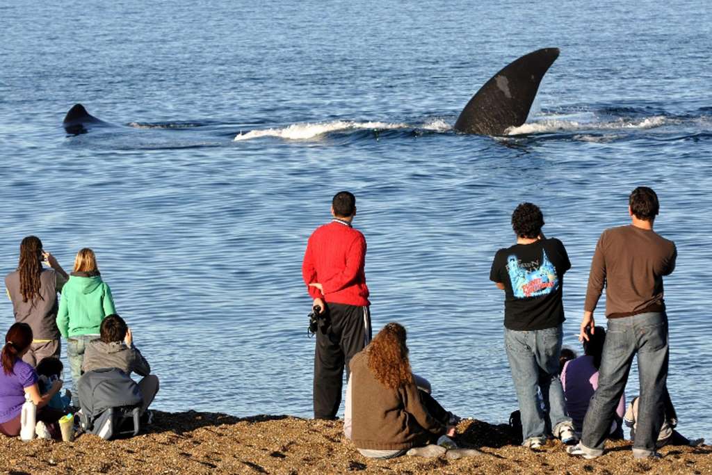 Doradillo Adventure: Trekking and Whales - Imagen 3