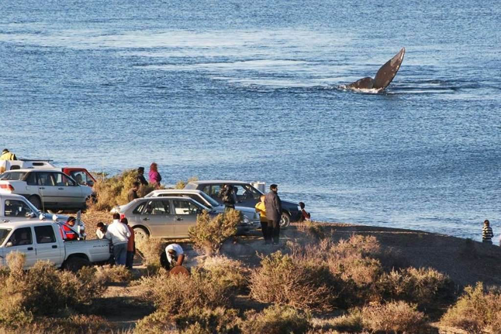 Doradillo Adventure: Trekking and Whales - Imagen 4