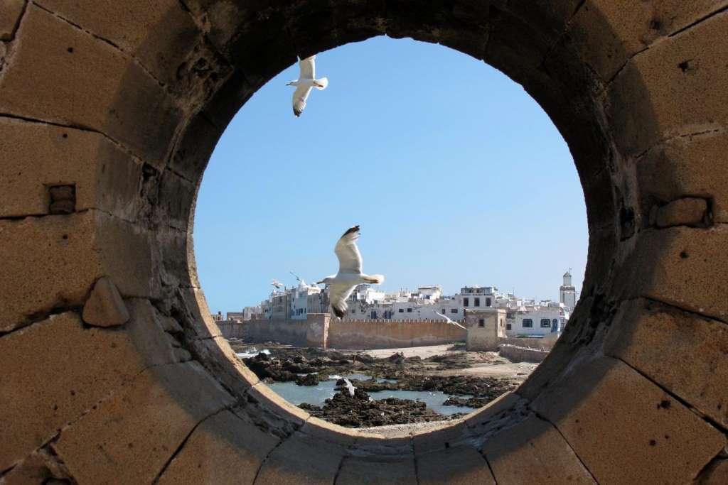 Passeio por Essaouira - Imagen 3