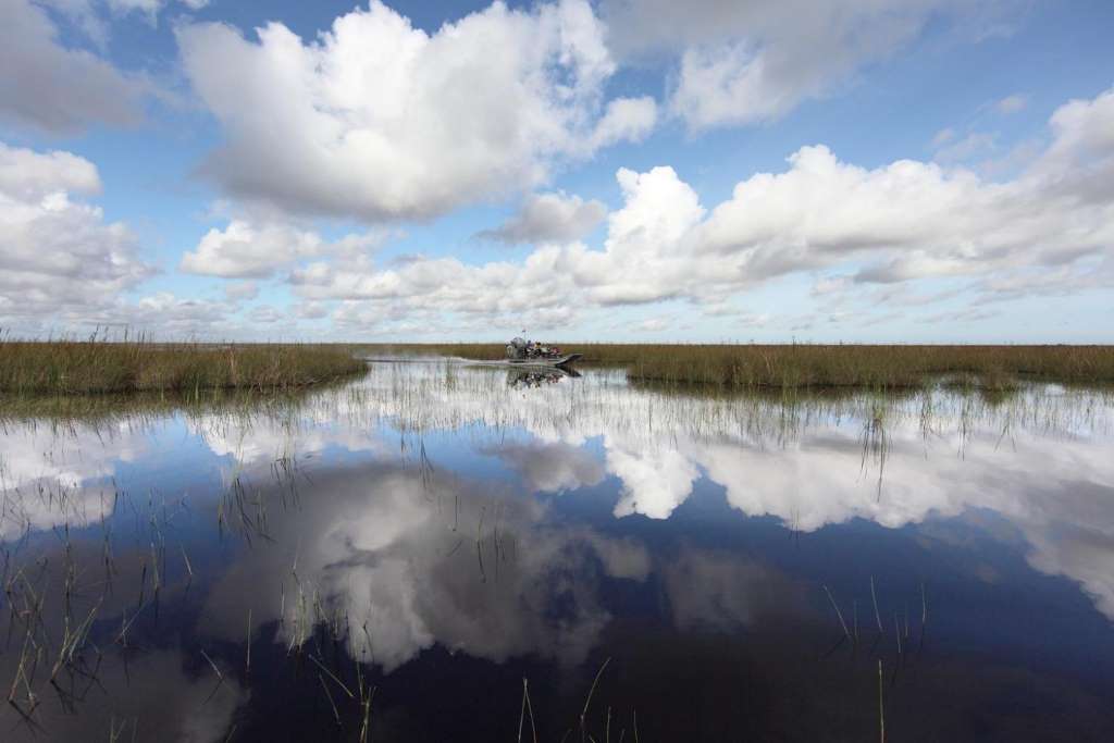 Entrada al Parque Everglades Sawgrass - Imagen 4