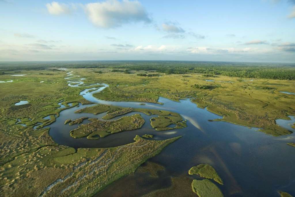 Aerobote en Everglades y Bahía de Biscayne - Imagen 2
