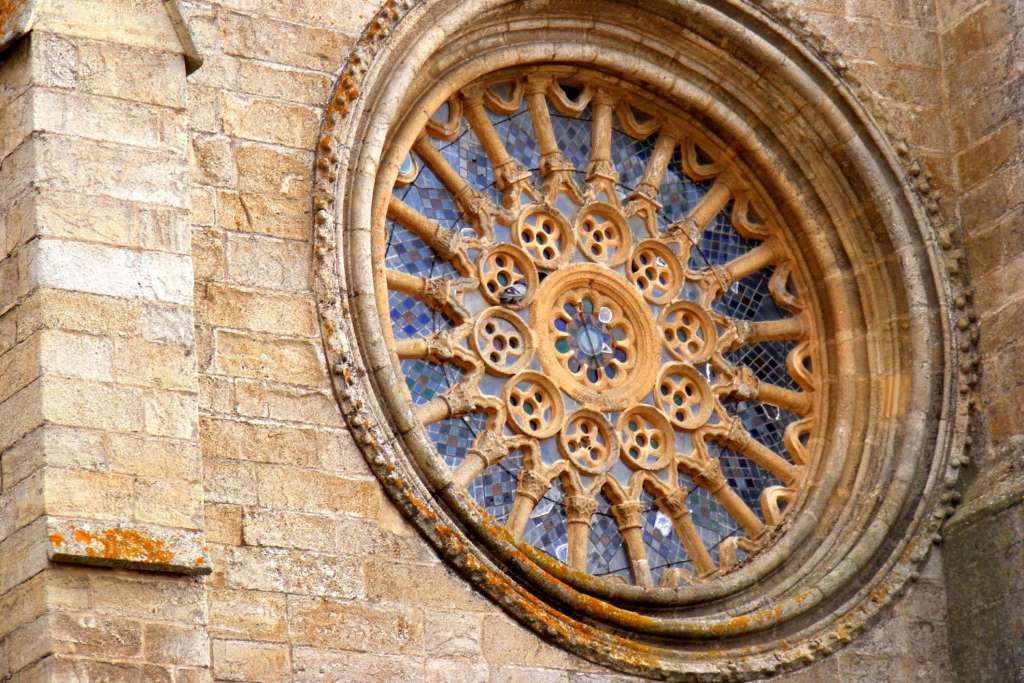 Évora - Tour del Vino y Patrimonio - Imagen 3