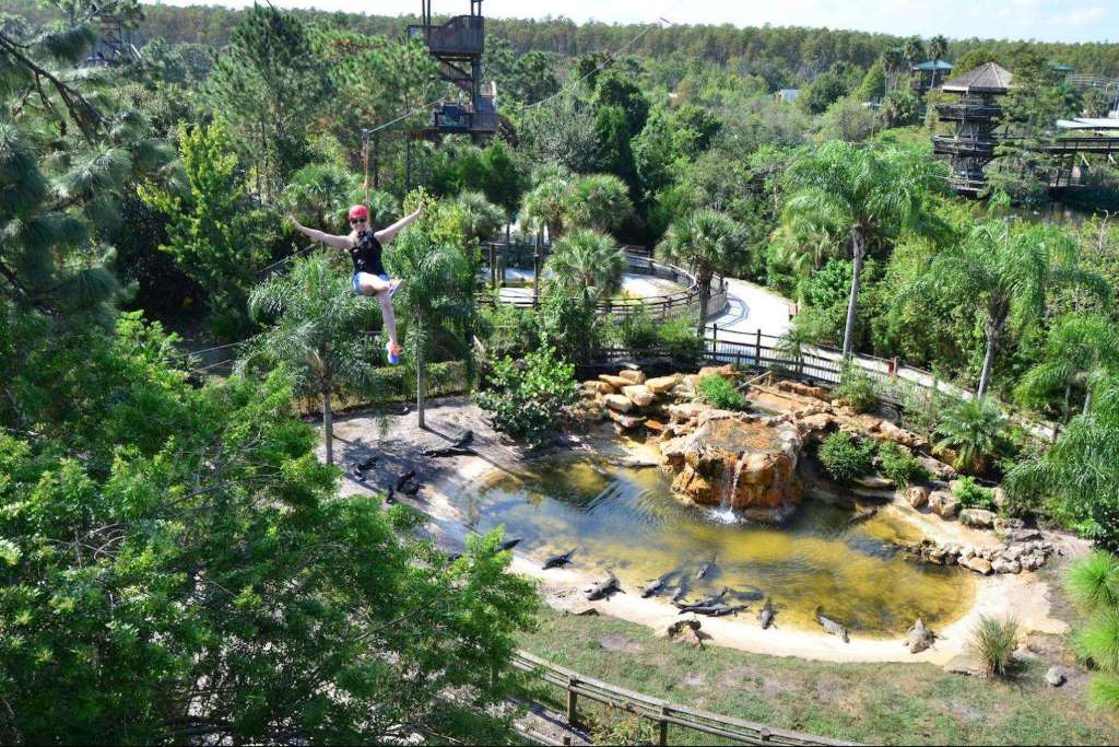 Gatorland - Entrada - Imagen 3
