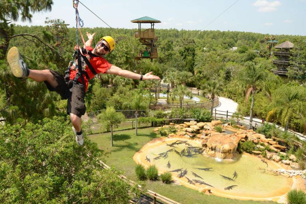 Gatorland - Entrada - Imagen 2