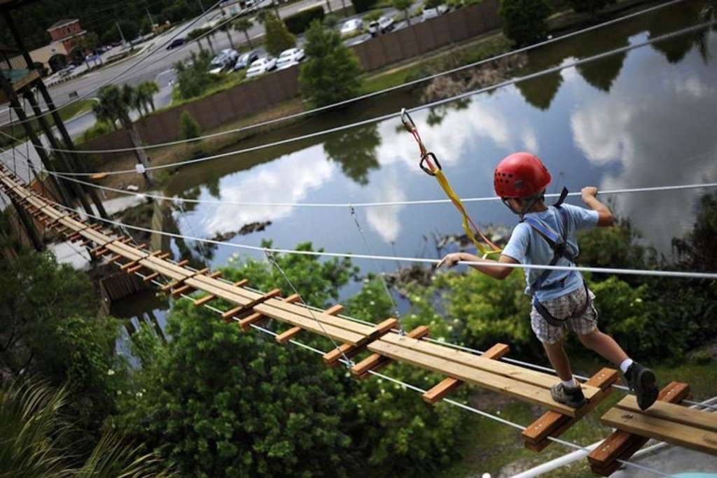 Gatorland - Entrada - Imagen 4