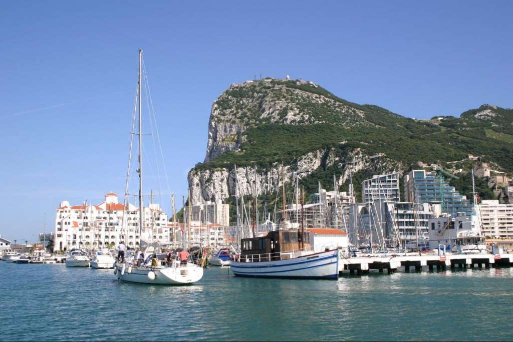 Delfines en Gibraltar - Imagen 2