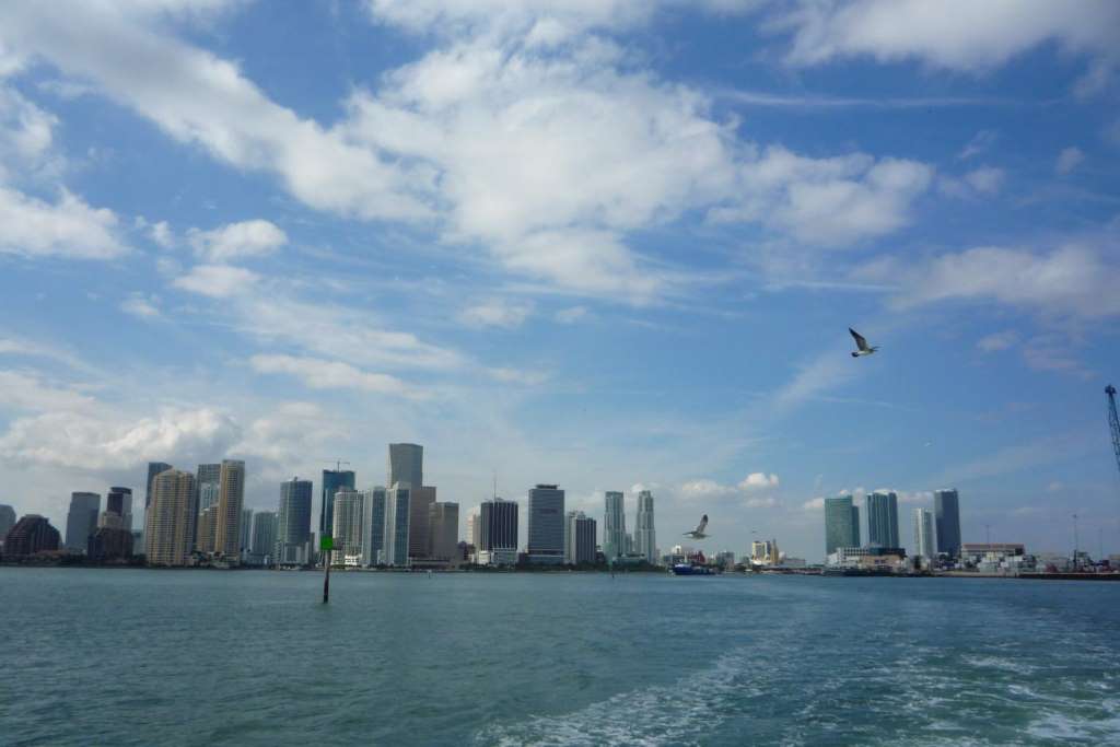Pesca Esportiva em Miami - Imagen 2
