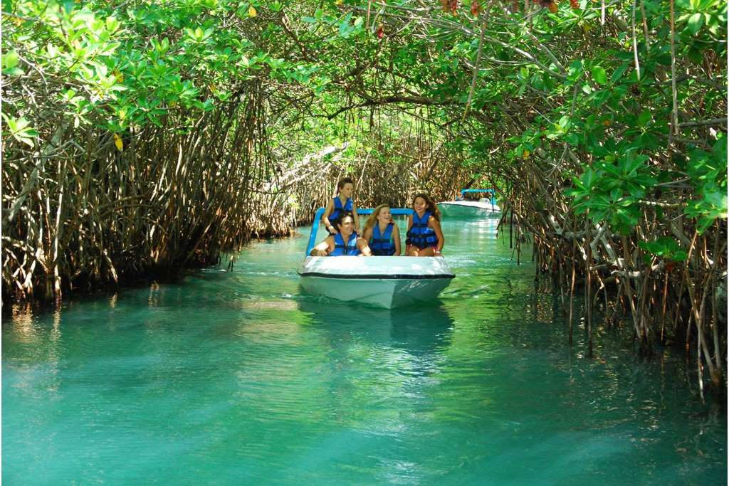 Snorkel en Cancún: Jungle Adventure Tour - Imagen 2
