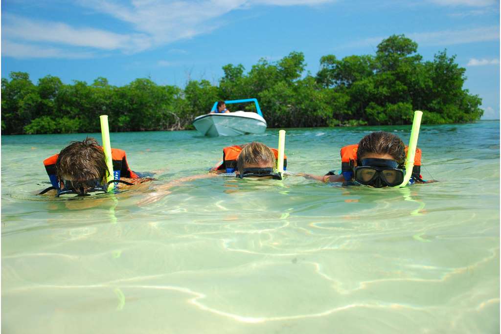 Snorkel en Cancún: Jungle Adventure Tour - Imagen 3