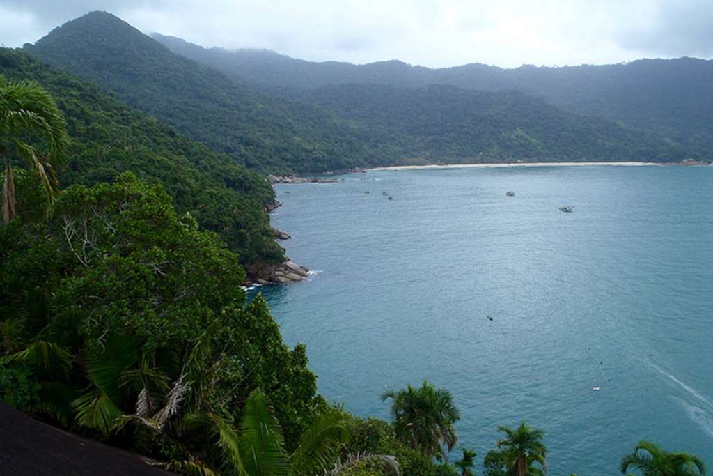 Tour por la Selva Tropical y la Playa Sono - Imagen 3