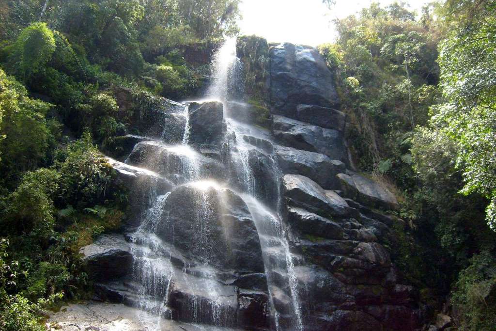 Tour por la Selva Tropical y la Playa Sono - Imagen 4